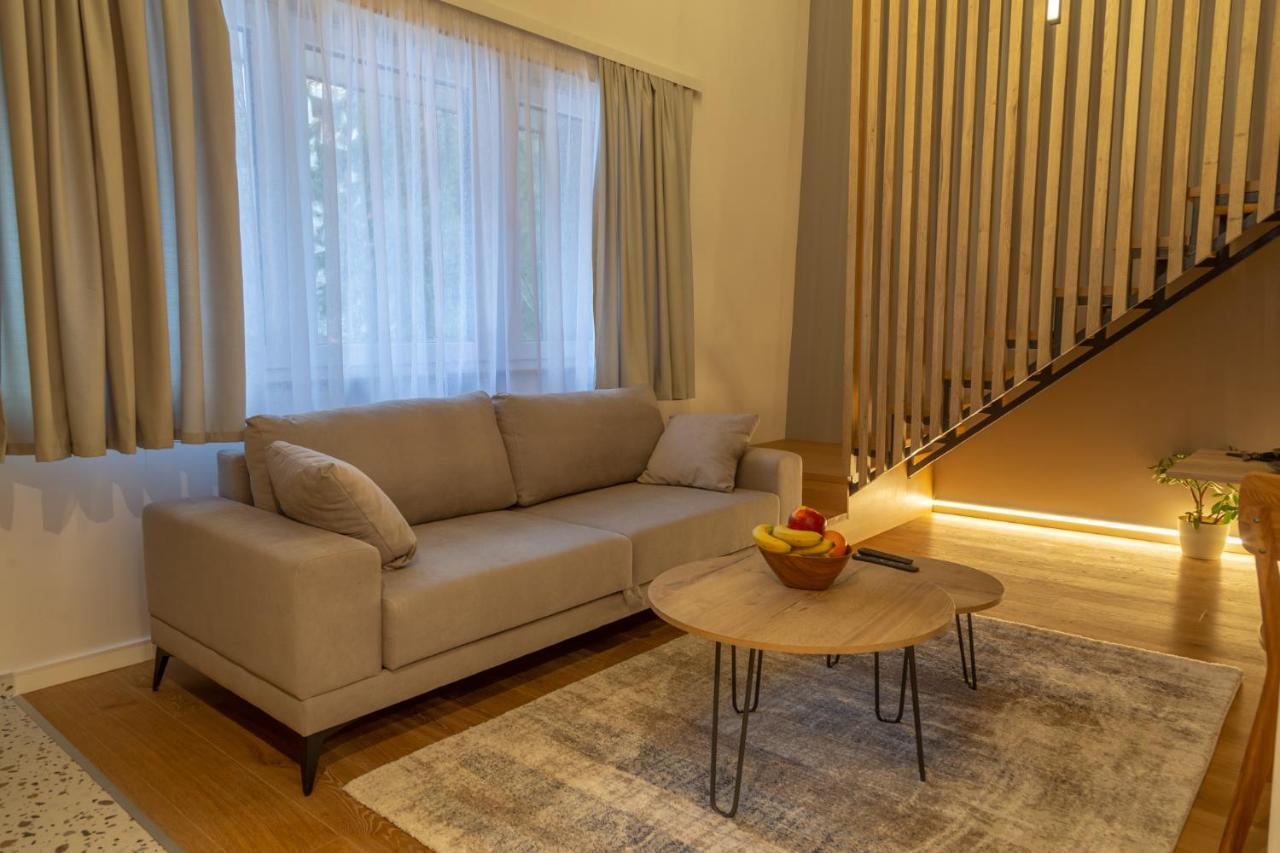 Luxury Apartments Anja 자호리나 외부 사진